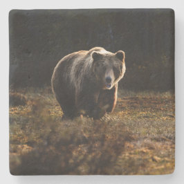 Beer Stenen Onderzetter