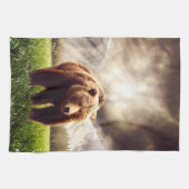 Beer Theedoek (Horizontaal)