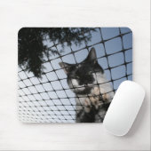 Beer van de kat op Sunset Mousepad Muismat (Met muis)