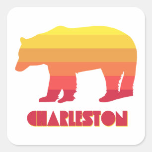 Beer van de regenboog van Charleston West Virginia Vierkante Sticker
