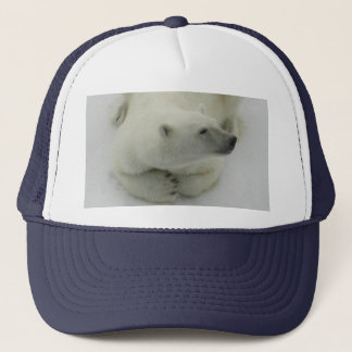 Beer van Dozing Polar Trucker Pet