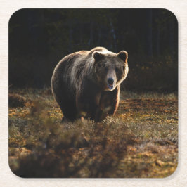 Beer Vierkante Kartonnen Onderzetter