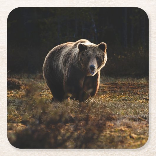 Beer Vierkante Kartonnen Onderzetter (Voorkant)