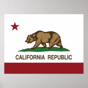 Beer vlag Californië Poster