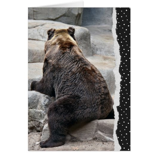 Beer voor 'Get Well Sbinnenkort' (Voorkant)