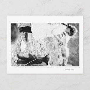 Beer voor het geven van voeding aan meisjes in het briefkaart