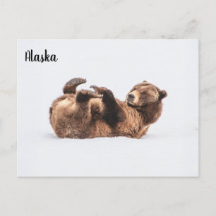 Beer Wildlife Alaska Briefkaart