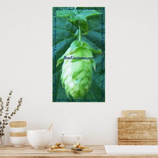 BeerContinuum poster (Cuisine)