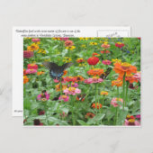 Beersheba Springs Postcard Briefkaart (Voorkant / Achterkant)