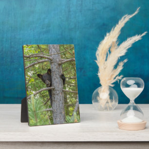 Beerwelp klimt in boom fotoplaat