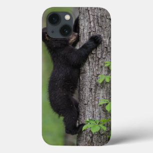 Beerwelp klimt in een boom iPhone 13 hoesje