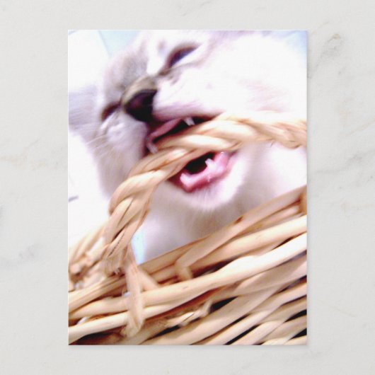 beet Briefkaart (Voorkant)