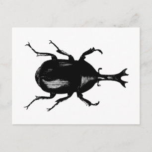 Beetel Beetles Insect Bug  Hood Engraving Briefkaart