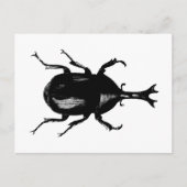 Beetel Beetles Insect Bug Hood Engraving Briefkaart (Voorkant)