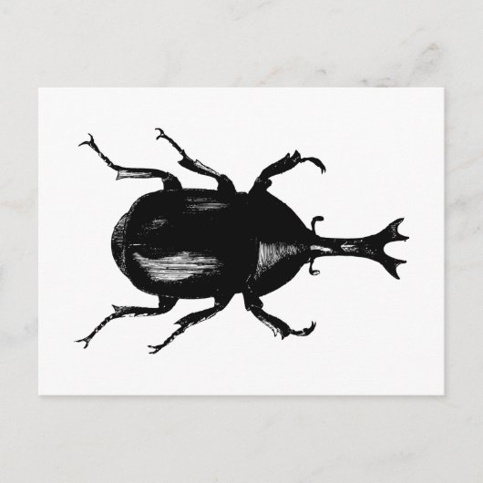 Beetel Beetles Insect Bug Hood Engraving Briefkaart (Voorkant)