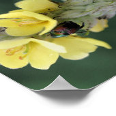 Beetel op Abstracte wildklem van mullein Poster (Hoek)