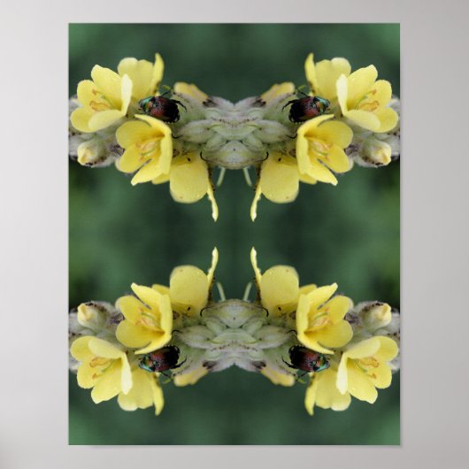 Beetel op Abstracte wildklem van mullein Poster (Voorkant)