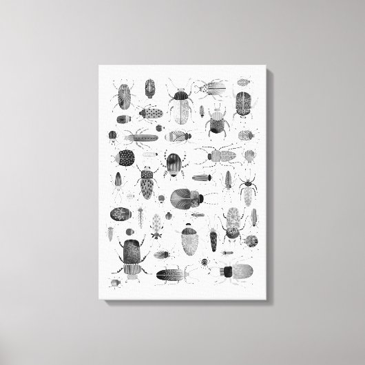 Beetel zwart-wit canvas afdruk (Voorkant)