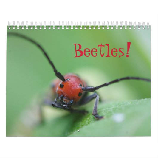 Beetels! Agenda Kalender (Hoes)