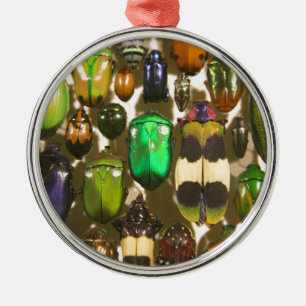 Beetels, bugs en insecten metalen ornament