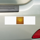 beetje plezier bumpersticker (Op auto)
