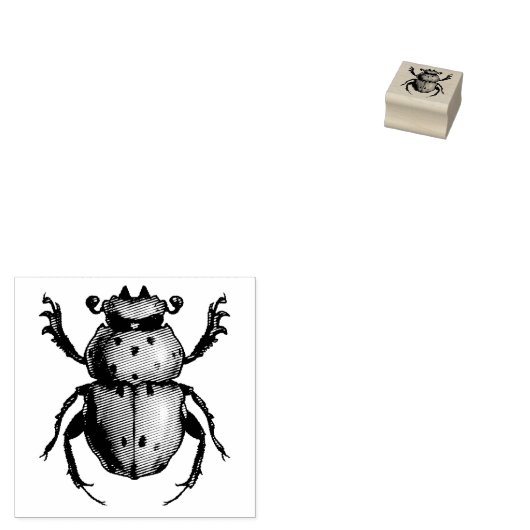 Beetle Art Entomology Insect Rubber Stamp Rubberstempel (Gestempeld)
