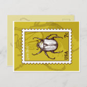 Beetle Briefkaart (Voorkant / Achterkant)