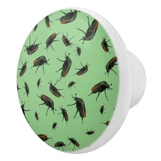 Beetle Bug Knobs Keramische Knop (Rechts)