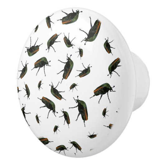 Beetle Bug Knobs Keramische Knop (Rechts)