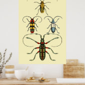 Beetle Insects Collectie Poster (Keuken)