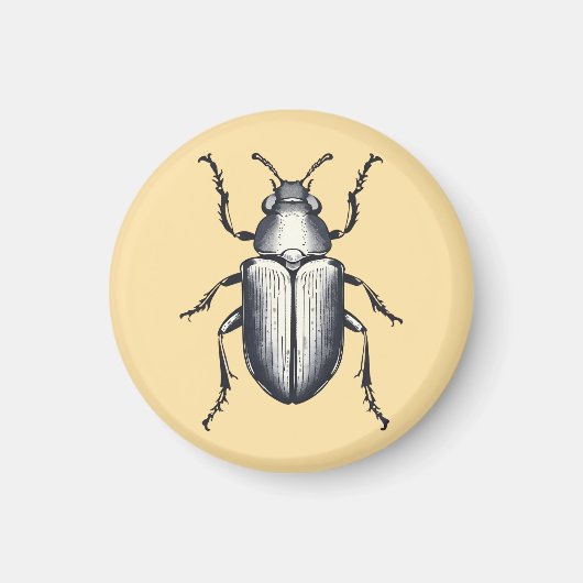 Beetle Magneet (Voorkant)
