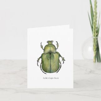 Beetle Note Cards Notitiekaartje