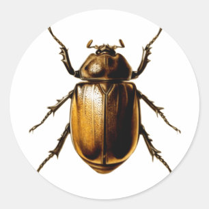 Beetle Ronde Sticker
