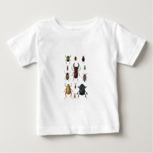 Beetle Varieties