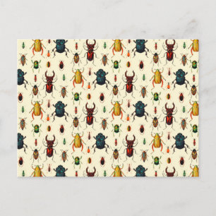 Beetle Varieties Briefkaart