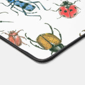 Beetles (Coin)