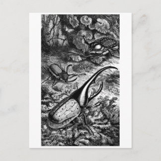 Beetles Briefkaart