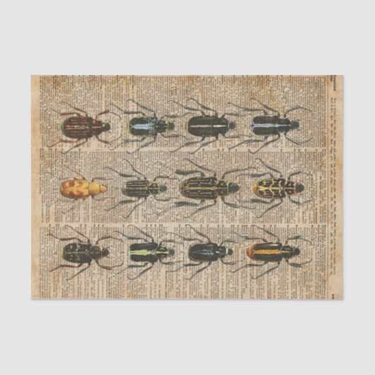 Beetles Bugs Zoology  Illustration Art Tissuepapier (Voorkant)
