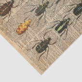 Beetles Bugs Zoology  Illustration Art Tissuepapier (Detail)