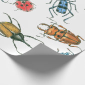 Beetles Cadeaupapier (Hoek)