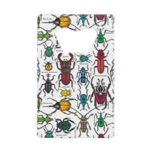 Beetons sur blanc