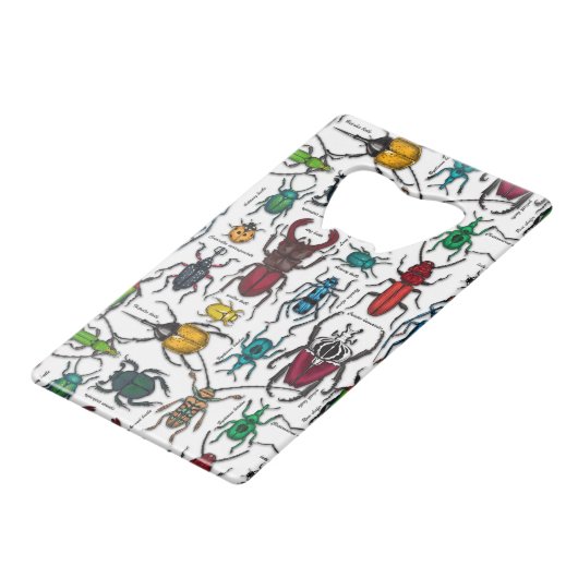 Beetons sur blanc (Dos Angle)