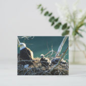 BEF Bald Eagle Family Briefkaart (Staand voorkant)