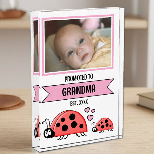Beforderd tot oma lieveheersbeestjes roze fotoblokken