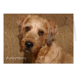 Begbie 5.13.06, glorydayfotografie