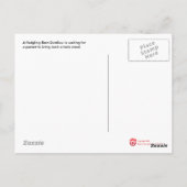 Begging Barn Swallow Briefkaart (Achterkant)