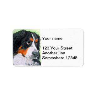 Begging Bernese Etiket
