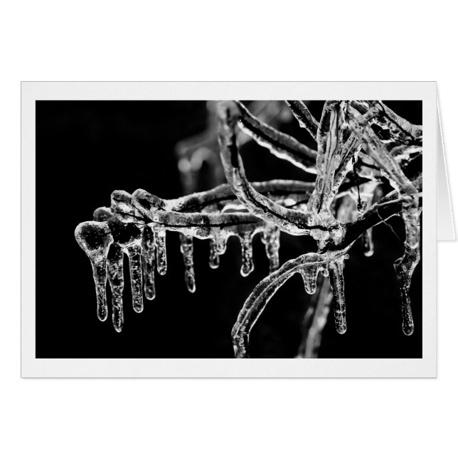 begin ijskoude winter (Voorkant Horizontaal)