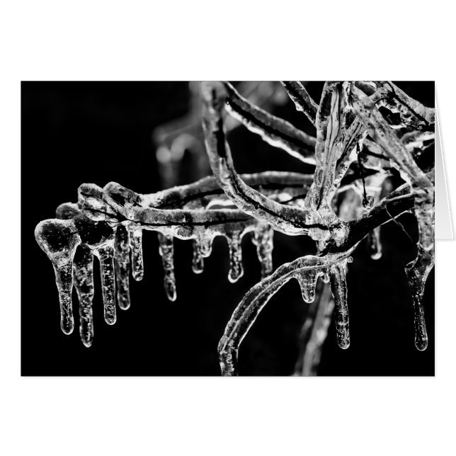 begin ijskoude winter (Voorkant Horizontaal)