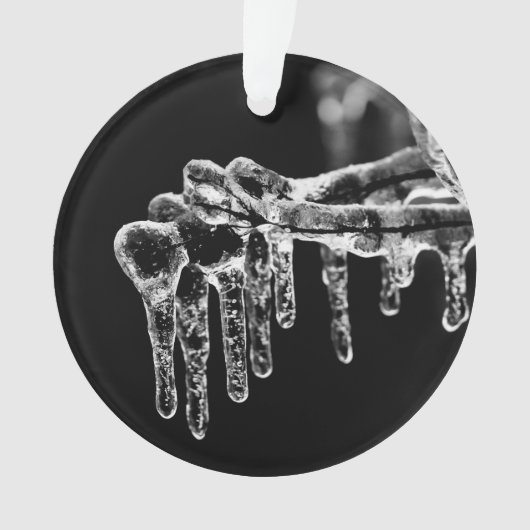 begin ijskoude winter ornament (voorkant)